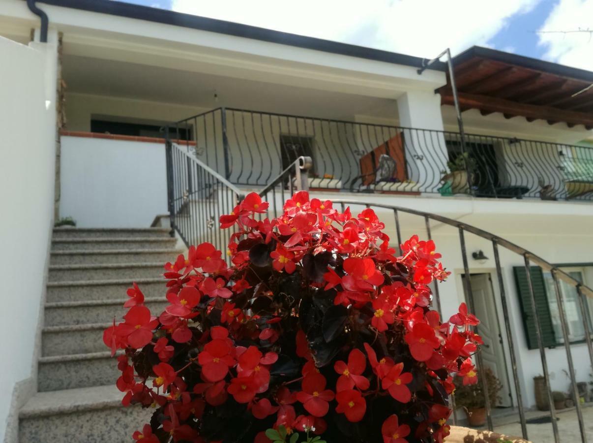 Il Giardino Apartment Lotzorai Ngoại thất bức ảnh